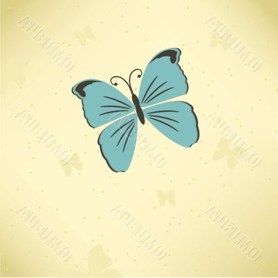 Various vector butterflies on  background
