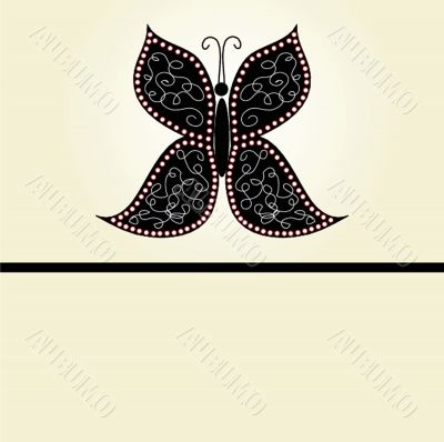 Various vector butterflies on  background