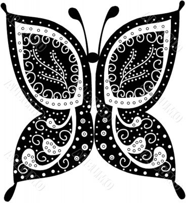Various vector butterflies on  background
