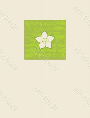 Vintage card with hand drawn flowers