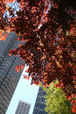 Embarcadero Center