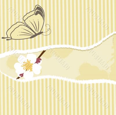 Floral card with butterfly