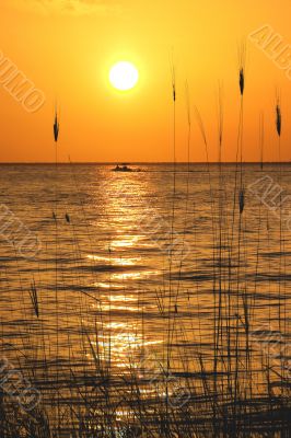 Yucatan Peninsula Beach