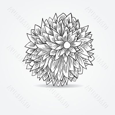Vintage card with hand drawn flowers