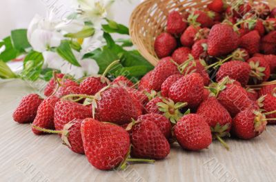 Baskets of strawberries sprinkled on the table close-up