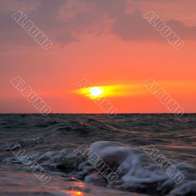 Nature Background