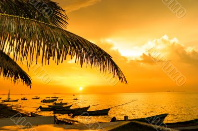Nature Background