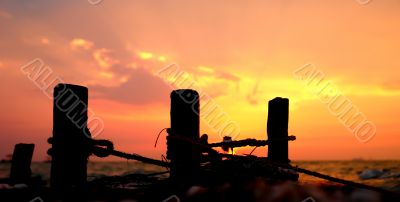 Nature Background