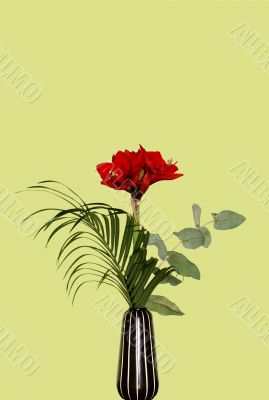 Red bouquet