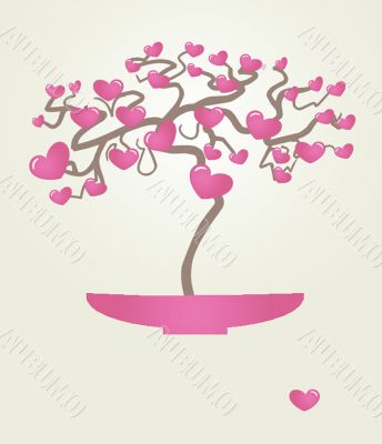 Bonsai tree