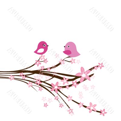 Blossom cherry - Greeting Card