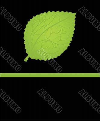 Green maple leaf illustration