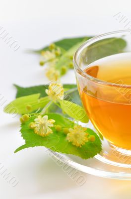 linden tea