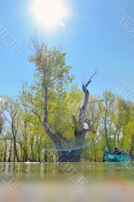 boat in summer on danube river