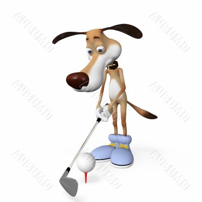 Dog playing golf.