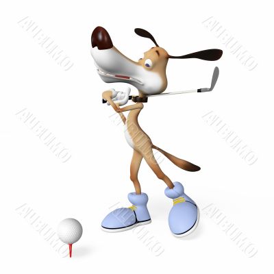 Dog playing golf.