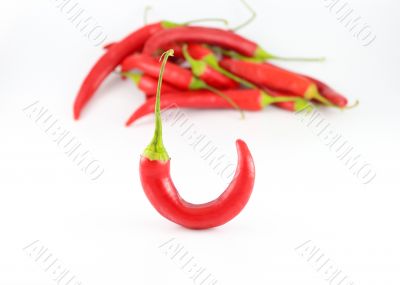 Chili Peppers