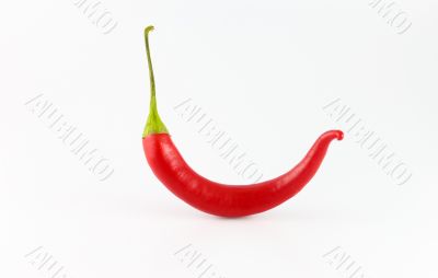Chili Pepper