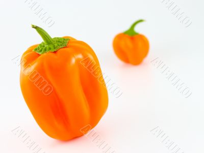 Orange Bell Peppers