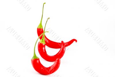 Chili Peppers