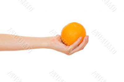Orange in a hand