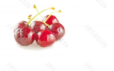 Cherries