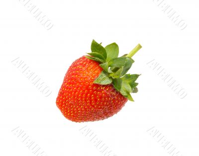 Fresh strawberry  isolated on white background