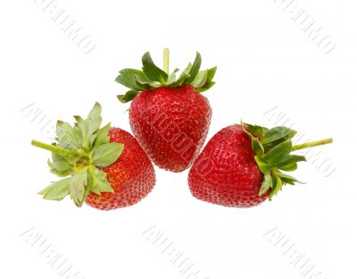 Fresh strawberry  isolated on white background