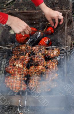 Grilled chicken with a tomato and eggplant