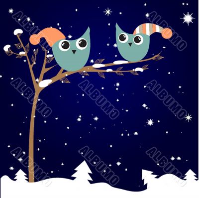 simple card illustration of two funny cartoon owls with christmas hats on a branch
