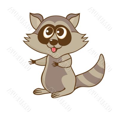 Illustration of cute  cartoon raccoon