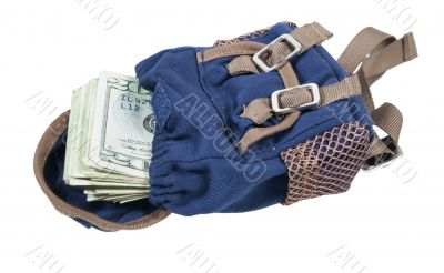 Backpack Full of Money