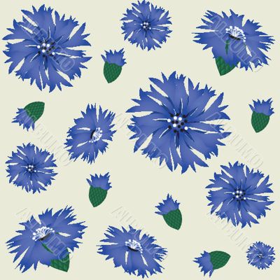 seamless pattern with blue cornflower