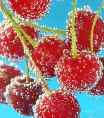 cherries and bubbles