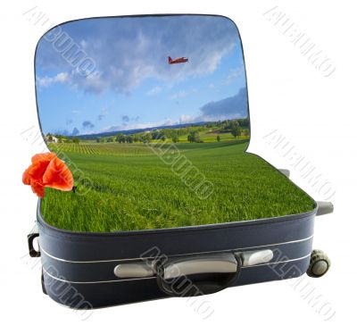 Suitcase