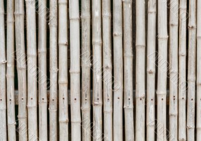 thai style bamboo fence