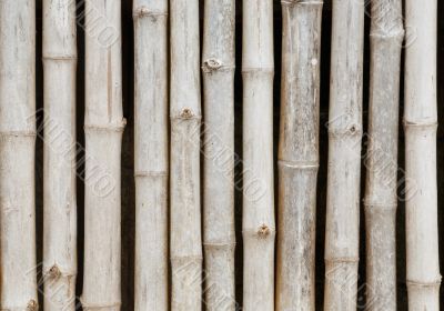 thai style bamboo fence