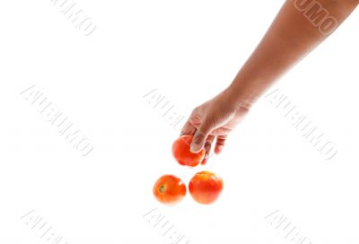 Fresh red tomato isolated with  on white background