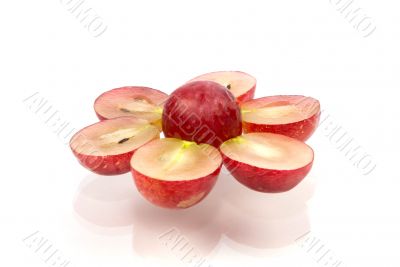 red grape isolated on white