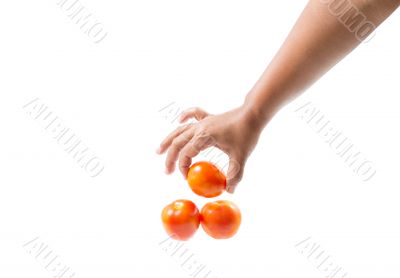 Fresh red tomato isolated with  on white background