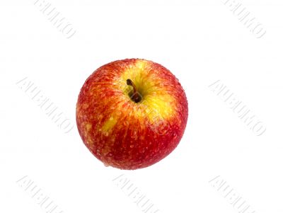 red apple isolated on white background