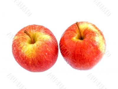 red apples isolated on white background