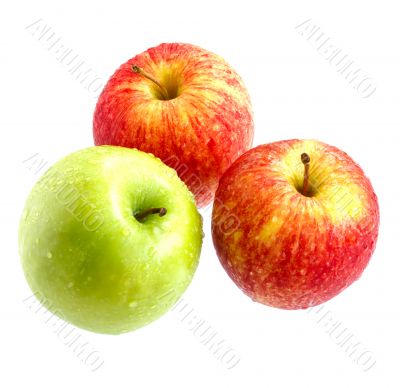green and red apples isolated on white ground