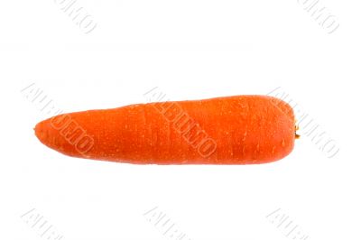 carrot isolated on white background