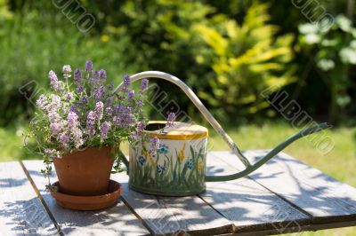Watering can and flower