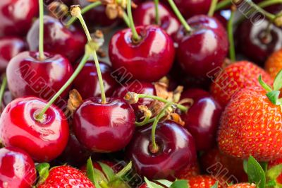 Strawberries and cherry