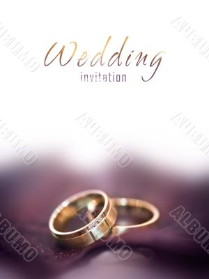 Gold wedding rings on a big brown leaf