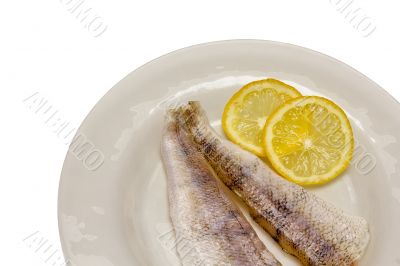 Raw fish fillets with lemon