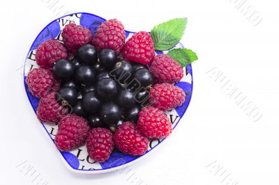 Raspberries and black currant on the beautiful saucer