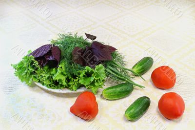 Lettuce, dill, onions and vegetables: tomatoes, cucumbers,     